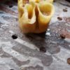 Ravioli mare e monti